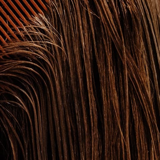 Weekly blowouts for a month at Shannon Kay at Sweet Leaf Studios in Huntsville, AL